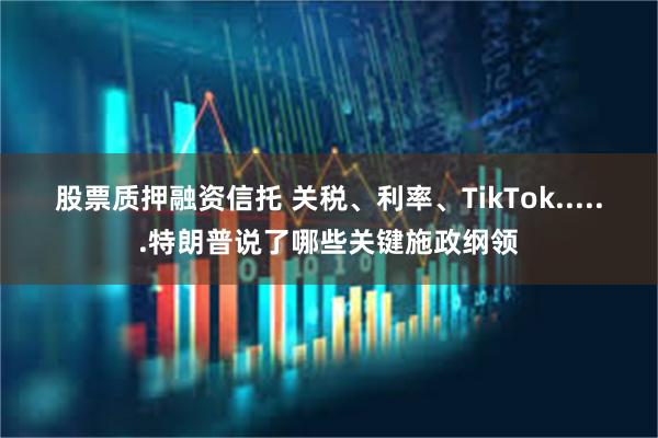 股票质押融资信托 关税、利率、TikTok......特朗普说了哪些关键施政纲领