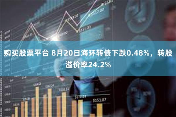 购买股票平台 8月20日海环转债下跌0.48%，转股溢价率24.2%