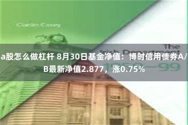 a股怎么做杠杆 8月30日基金净值：博时信用债券A/B最新净值2.877，涨0.75%