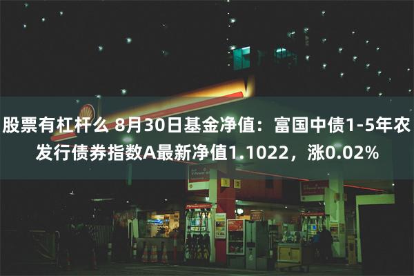 股票有杠杆么 8月30日基金净值：富国中债1-5年农发行债券指数A最新净值1.1022，涨0.02%