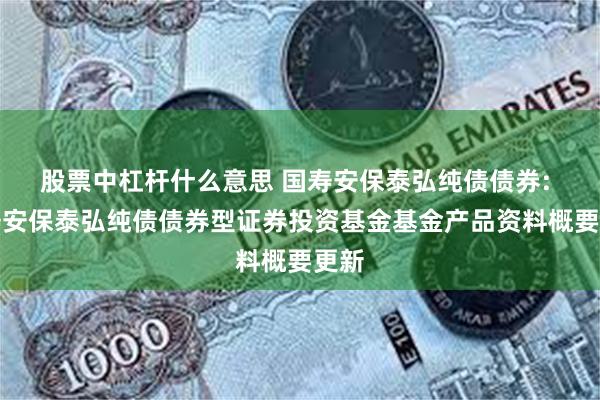 股票中杠杆什么意思 国寿安保泰弘纯债债券: 国寿安保泰弘纯债债券型证券投资基金基金产品资料概要更新